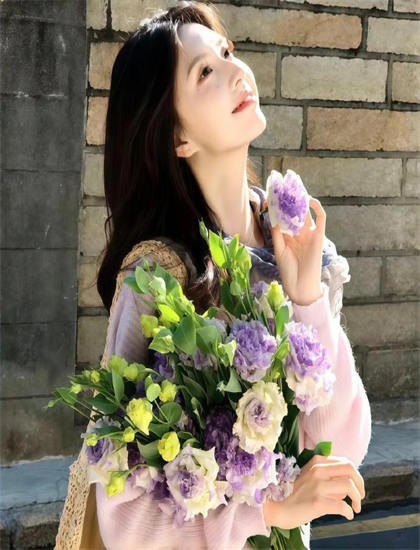 2026年度推荐《出柜好莱鸟》深度评测